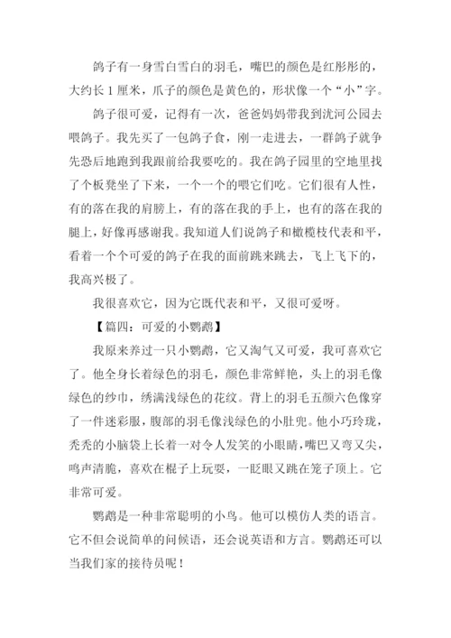 写一种鸟的作文.docx