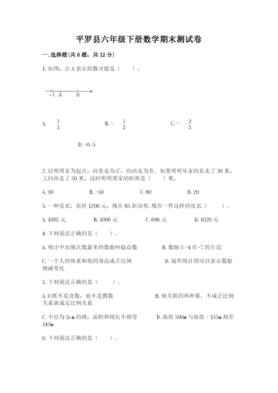 平罗县六年级下册数学期末测试卷（a卷）.docx