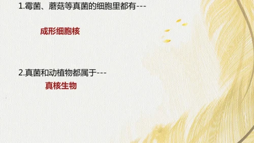 人教版（2024）七年级上册2.3.3真菌(共27张PPT)+视频素材