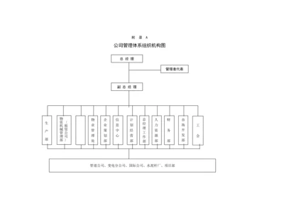 公司管理体系组织机构图.docx