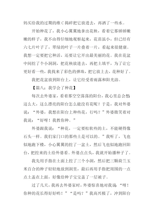 种花作文300字0.docx