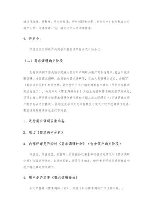 软件综合项目实施专题计划专项方案.docx