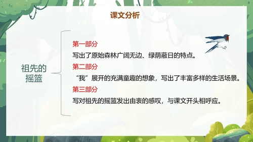 部编版二年级下册《祖先的摇篮》语文课件PPT模板