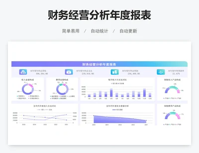 财务经营分析年度报表