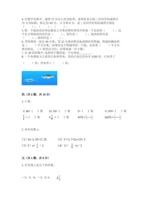 苏教版六年级数学小升初试卷【全优】.docx