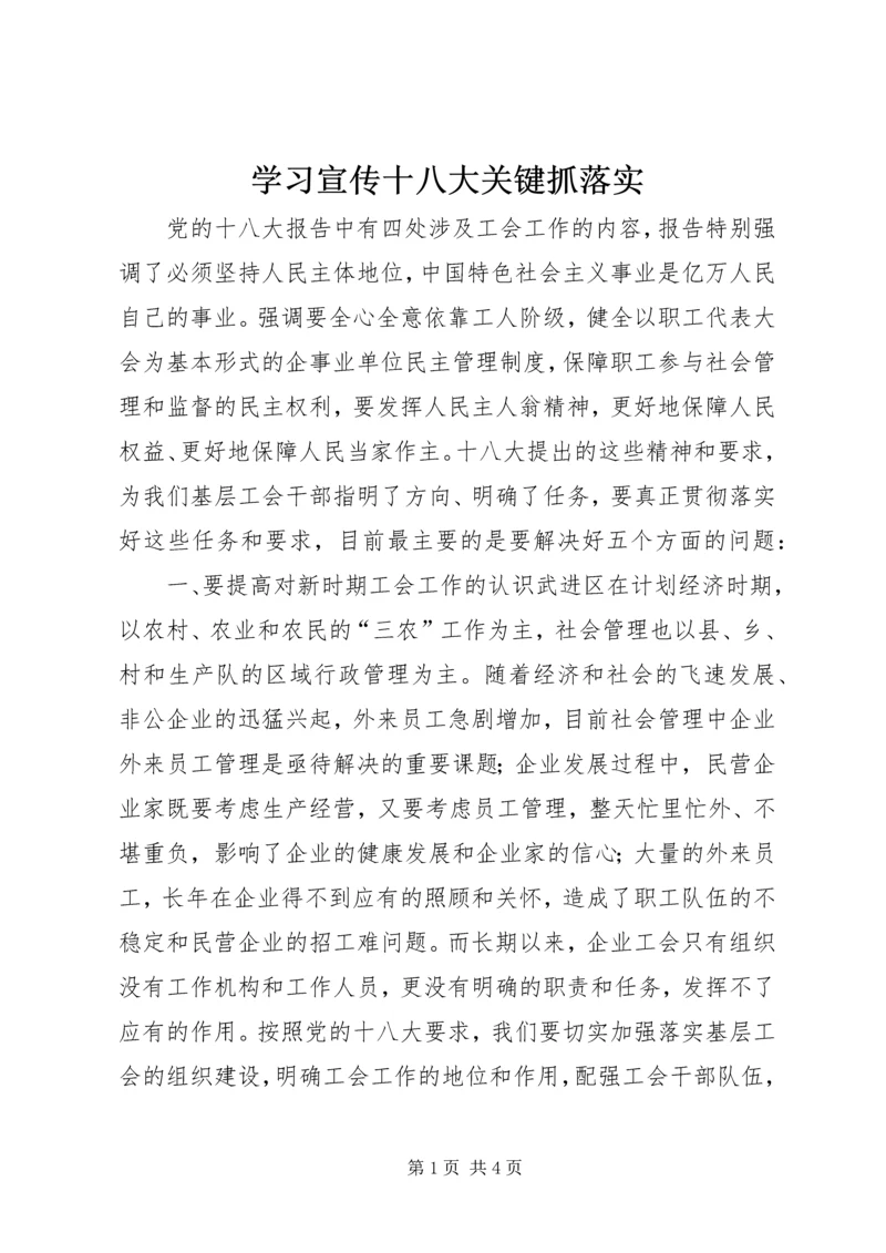 学习宣传十八大关键抓落实.docx