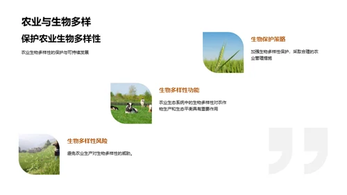 农业生态保护策略