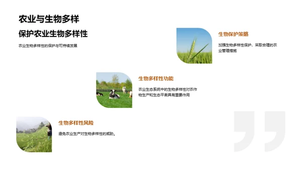 农业生态保护策略