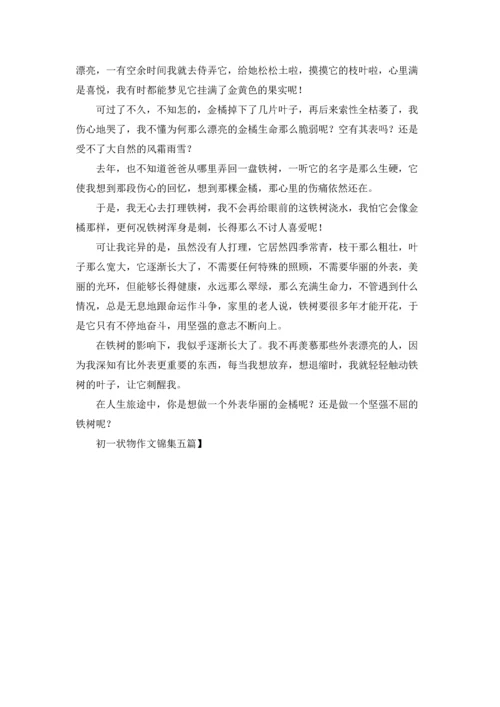 初一状物作文锦集五篇.docx