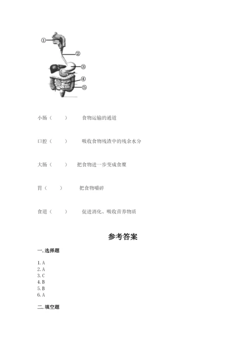 教科版四年级上册科学期末测试卷含答案【新】.docx