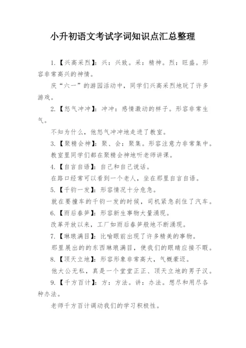 小升初语文考试字词知识点汇总整理.docx