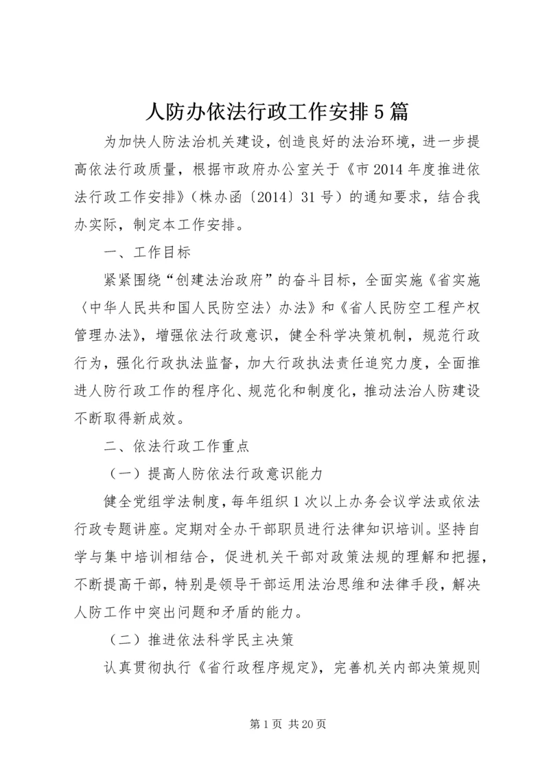 人防办依法行政工作安排5篇.docx