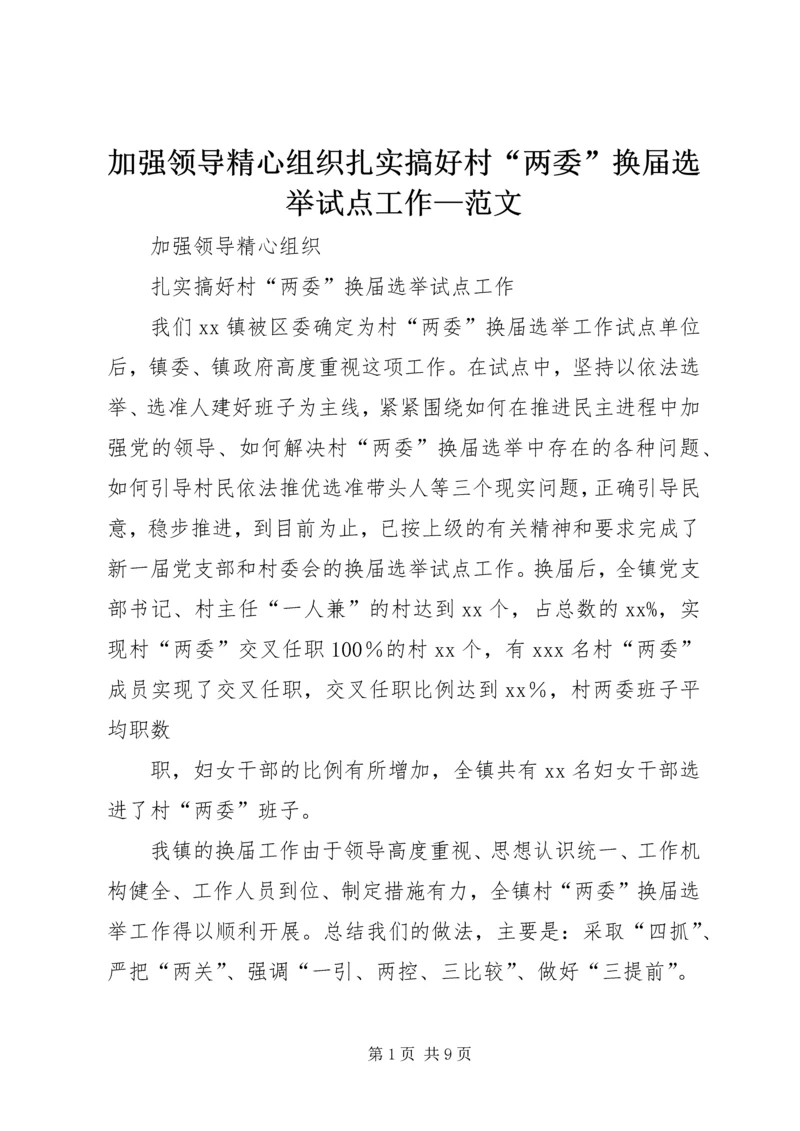 加强领导精心组织扎实搞好村“两委”换届选举试点工作—范文.docx