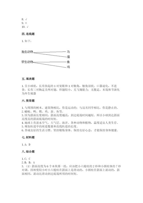 教科版科学三年级下册 期末测试卷【名师系列】.docx