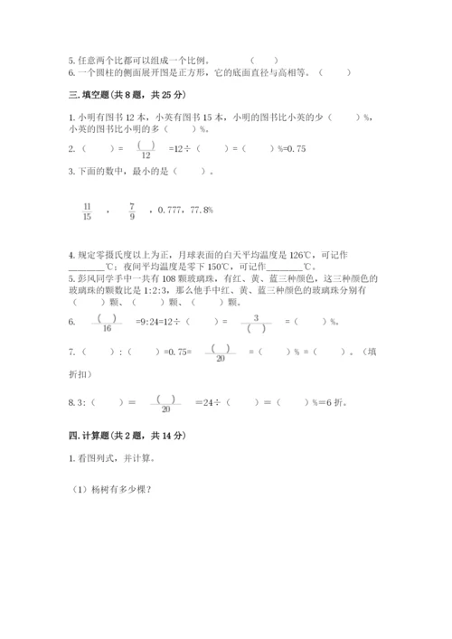 丹阳市六年级下册数学期末测试卷a4版.docx