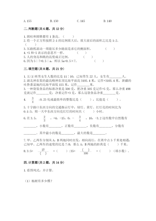 巢湖市小升初数学测试卷审定版.docx