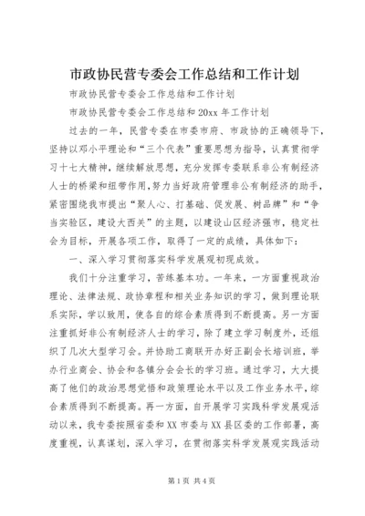 市政协民营专委会工作总结和工作计划.docx