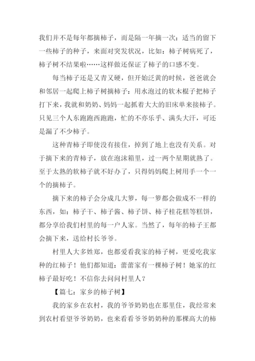 家乡的柿子树作文.docx