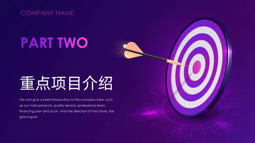 紫色神秘商业项目计划书通用PPT模板