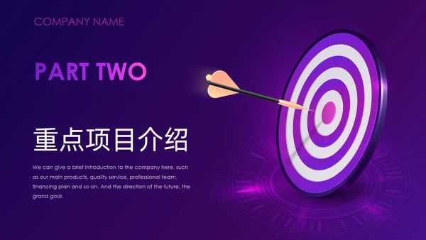 紫色神秘商业项目计划书通用PPT模板
