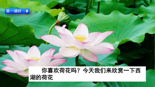 二下《古诗二》第一课时