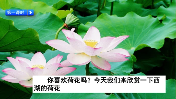 二下《古诗二》第一课时
