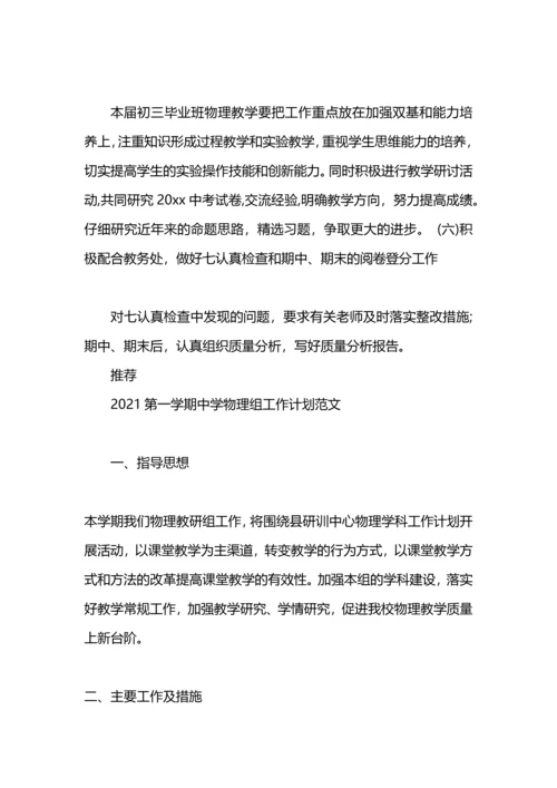期中学物理组工作计划范文.docx