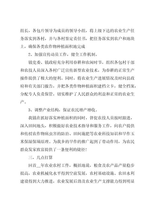 乡镇农业工作总结格式模板（3篇）