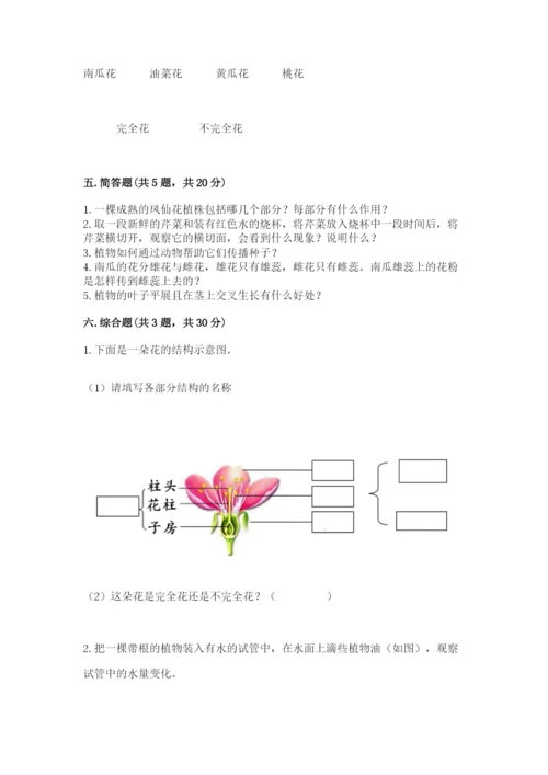 科学四年级下册第一单元植物的生长变化测试卷精品（典优）.docx