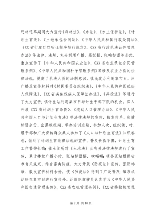 乡镇行政执法自查工作总结.docx