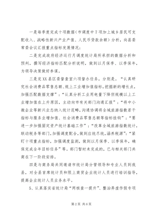 统计局总结及计划 (2).docx
