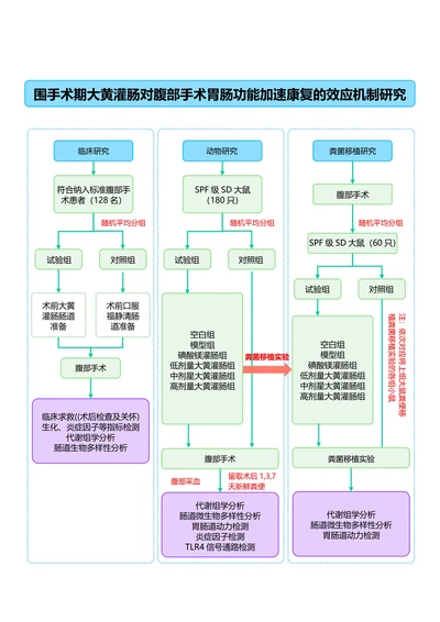 蓝绿色简约通用论文流程图