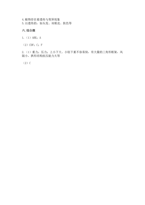 2023年教科版小升初科学试卷附答案【完整版】.docx