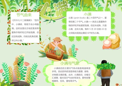 小满传统节气Word小报