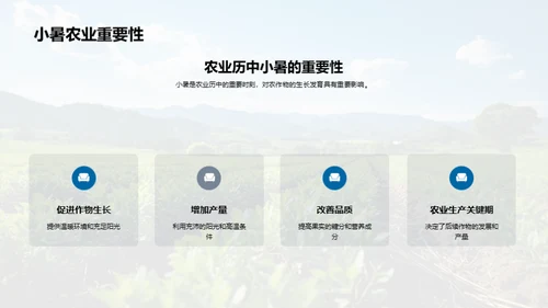 小暑科技农业论述