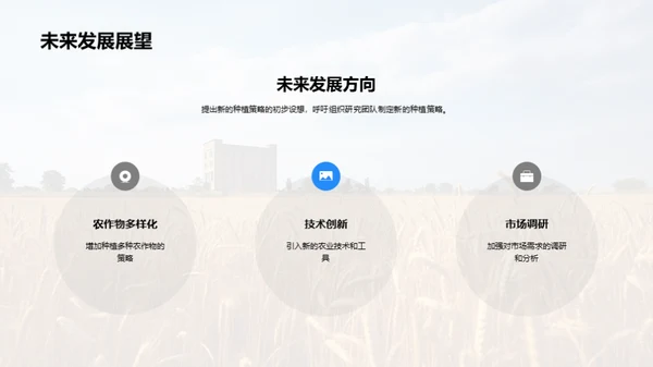 农业收益优化策略