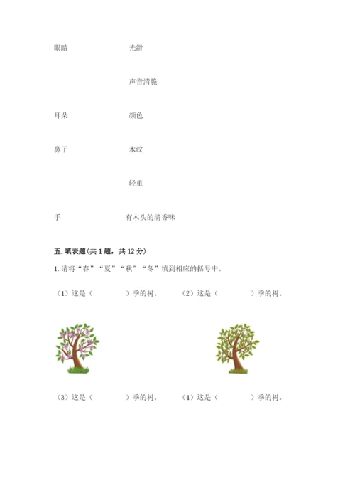 教科版小学二年级上册科学期末测试卷word.docx