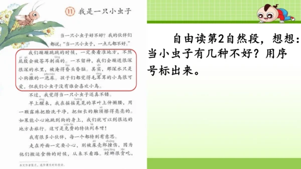 《11.我是一只小虫子》第一课时 课件