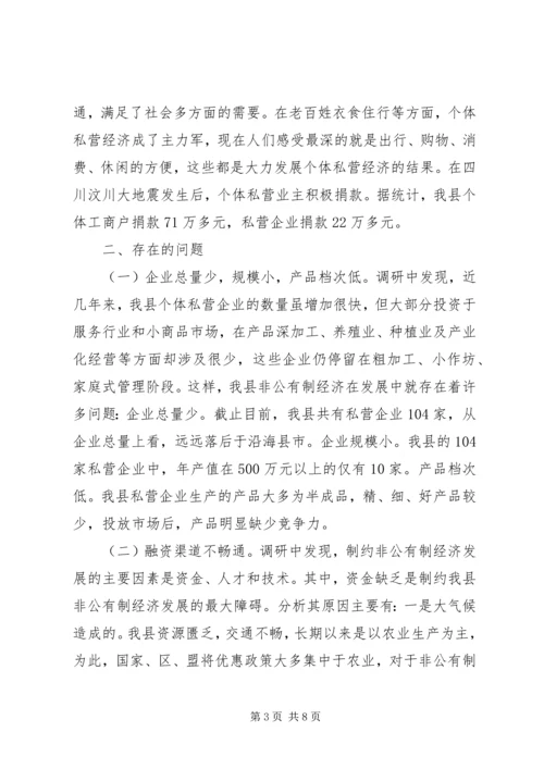 县经济工作调研报告.docx