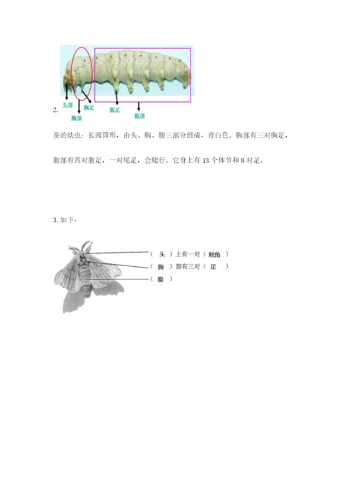 教科版科学三年级下册 期末测试卷及完整答案【易错题】.docx