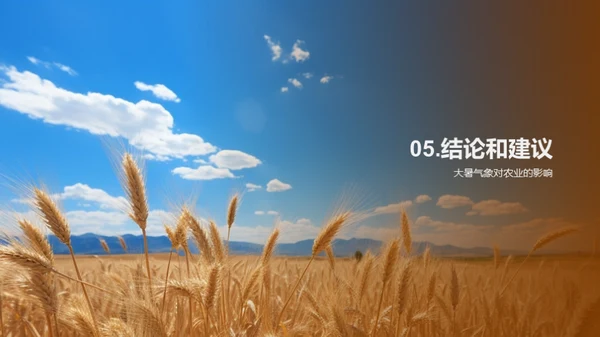 大暑农业应对策略