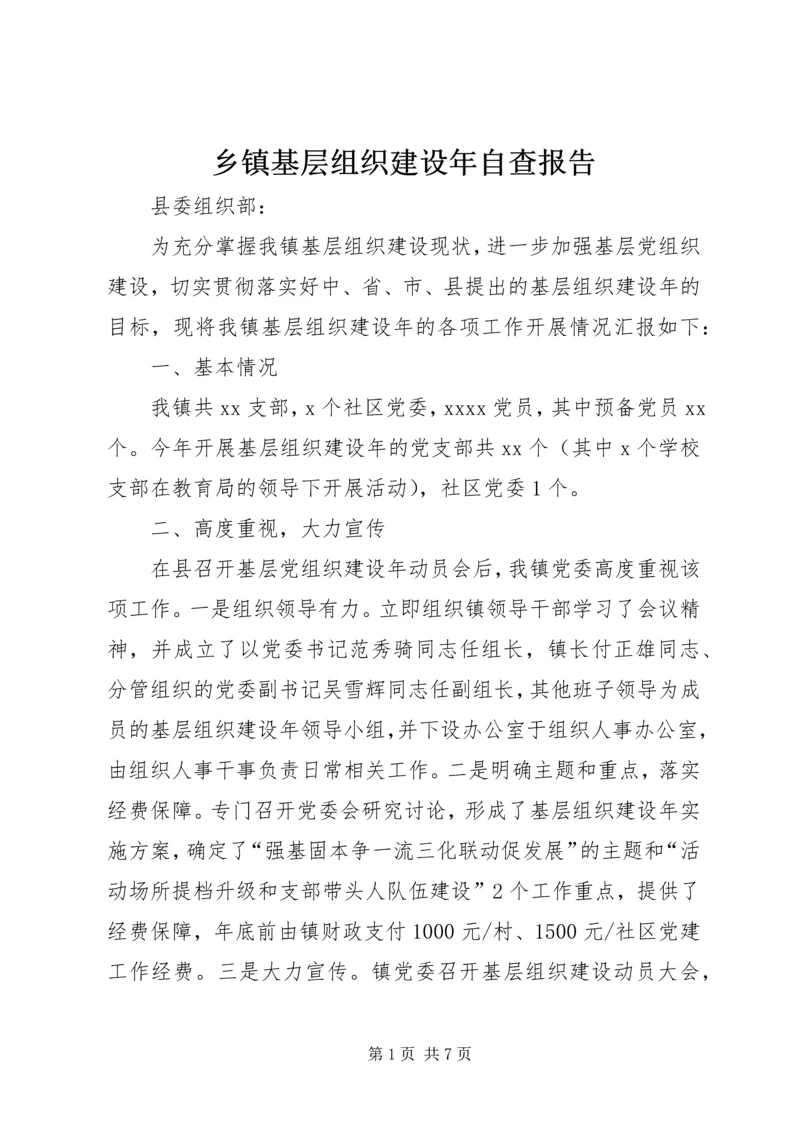 乡镇基层组织建设年自查报告.docx