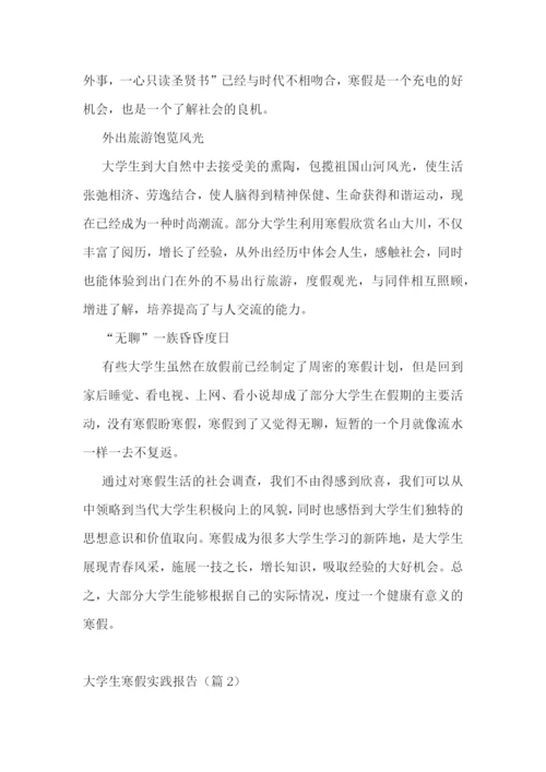 最新大学生寒假实践报告(个人通用).docx