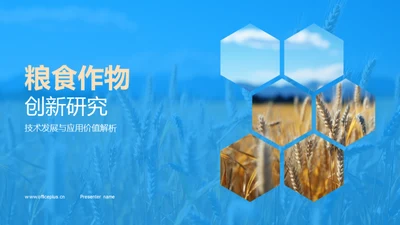 粮食作物创新研究