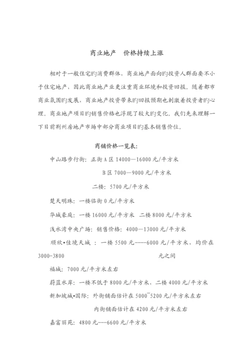 湖北荆州景湖商业地产专项项目专题策划案.docx