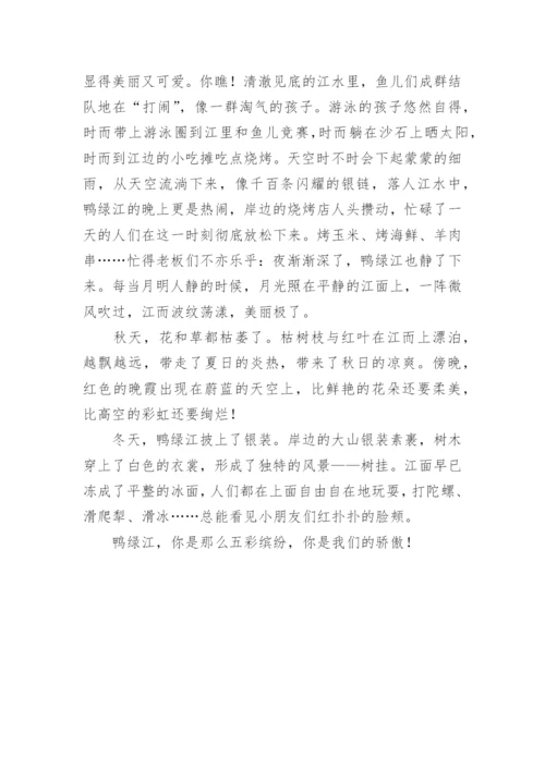 参观鸭绿江断桥观后感800字.docx