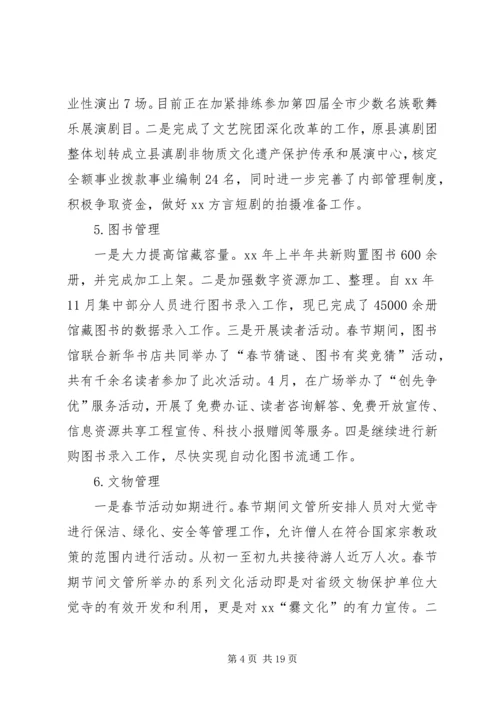 文广新局20XX年上半年工作总结及下半年工作计划.docx