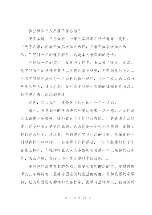 执业律师个人年度工作总结.docx