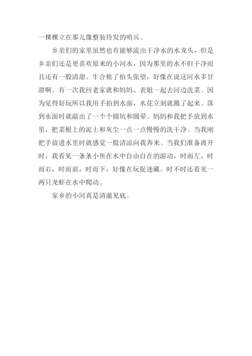 写家乡的小河的作文.docx