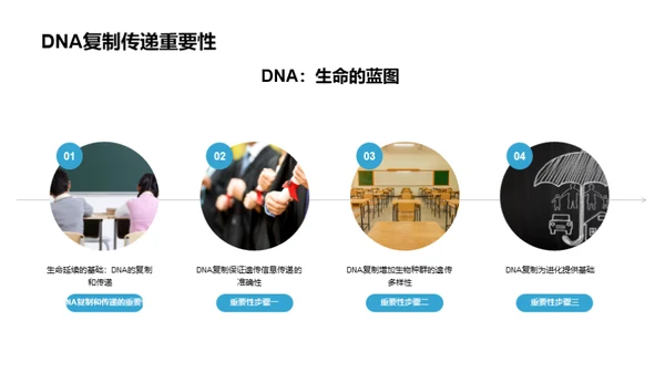 DNA揭秘生命密码